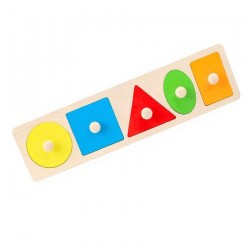 Montessori Five-Color Geometric Puzzle