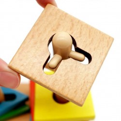 Montessori Geometric Column Combination