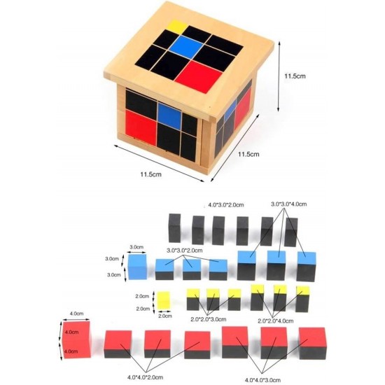 Montessori Trinomial Cube 