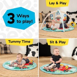 Baby Einstein Farm Explorers Happy Harvest Touch & Feel Activity Gym