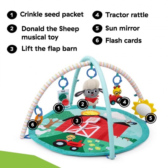 Baby Einstein Farm Explorers Happy Harvest Touch & Feel Activity Gym