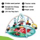 Baby Einstein Farm Explorers Happy Harvest Touch & Feel Activity Gym