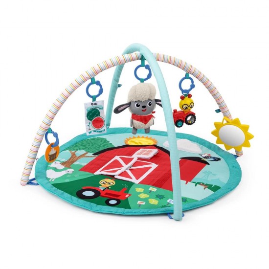 Baby Einstein Farm Explorers Happy Harvest Touch & Feel Activity Gym