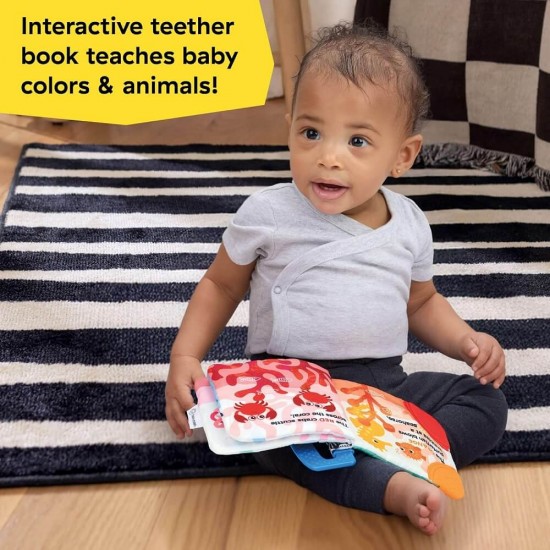 Baby Einstein Teether Book - Shades at the Sea