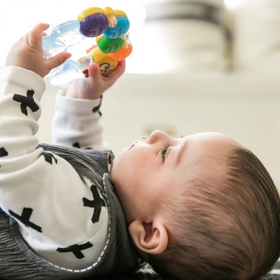 Baby Einstein Teether-pillar Rattle Toy