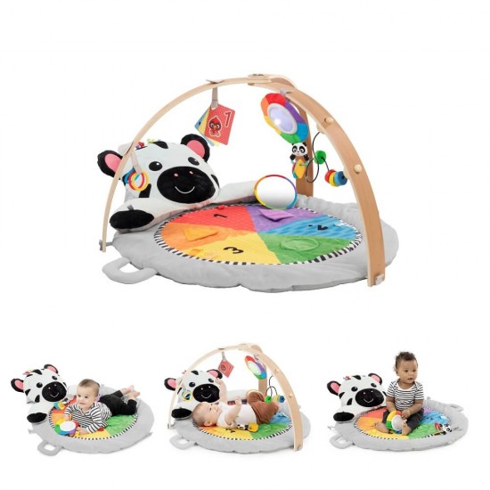 Baby Einstein Zen's Activity Milestones Plush Gym
