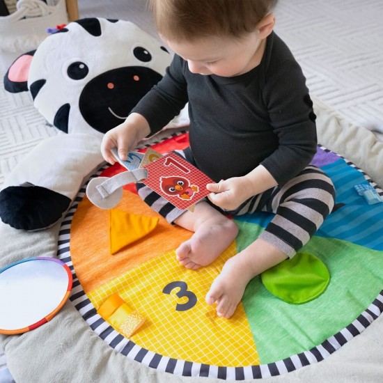 Baby Einstein Zen's Activity Milestones Plush Gym