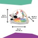 Baby Einstein Zen's Activity Milestones Plush Gym