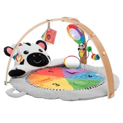 Baby Einstein Zen's Activity Milestones Plush Gym