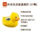 b&h Bath and Room thermometer - Duck