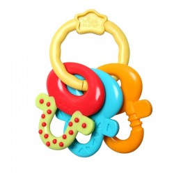 Bright Starts License to Drool Teether Keys