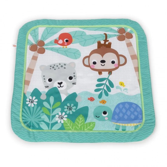 Bright Starts Palm Party Activity Gym
