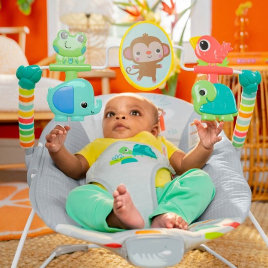 Bright Starts Playful Paradise Vibrating Baby Bouncer