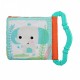 Bright Starts Teether & Read Soft Book