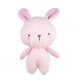 Bubble Lily the Bunny