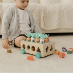Bubble Wooden Vegetable Garden