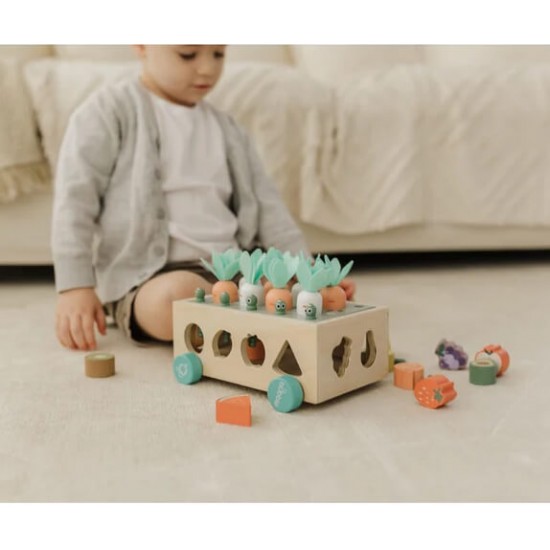 Bubble Wooden Vegetable Garden