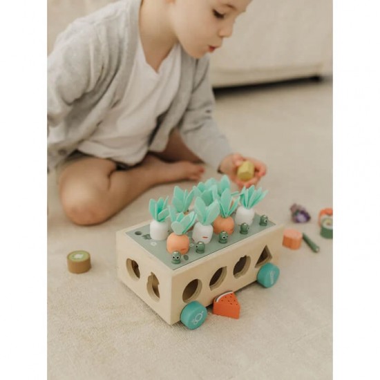 Bubble Wooden Vegetable Garden