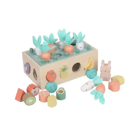 Bubble Wooden Vegetable Garden