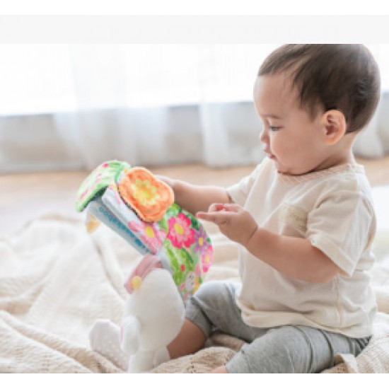 Combi Sense and Discover Book Friend Little Lula