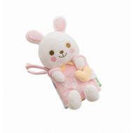 Combi Sense and Discover Book Friend Little Lula