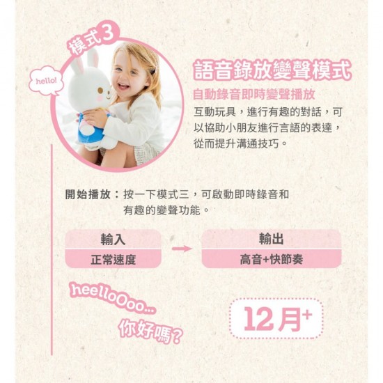 Combi Interactive Rabbit