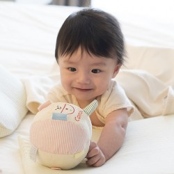 Combi rattle ball