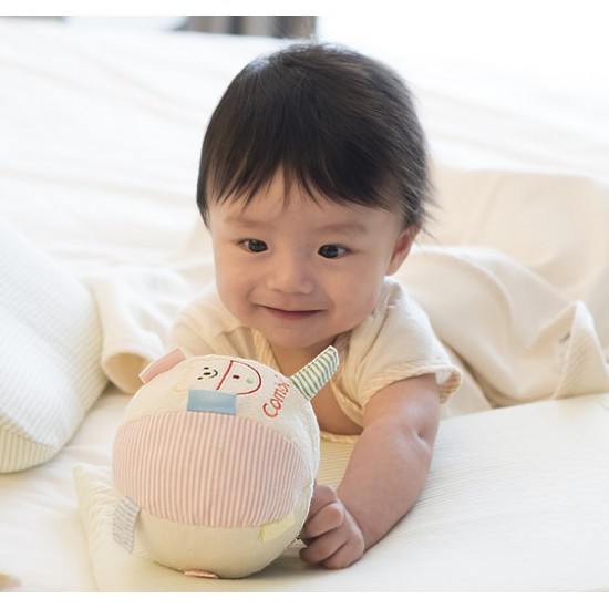 Combi rattle ball