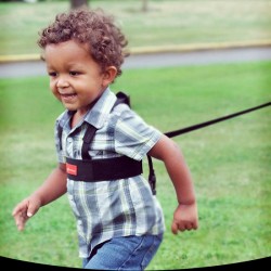 Diono Sure Step Security harness 