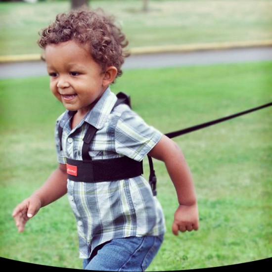Diono Sure Step Security harness 