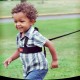 Diono Sure Step Security harness 