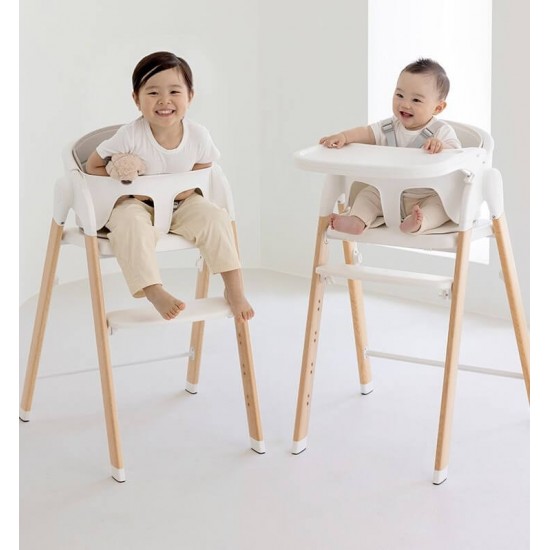 Duri Growth High Chair (6 Months to Adult, 110 Kg) 