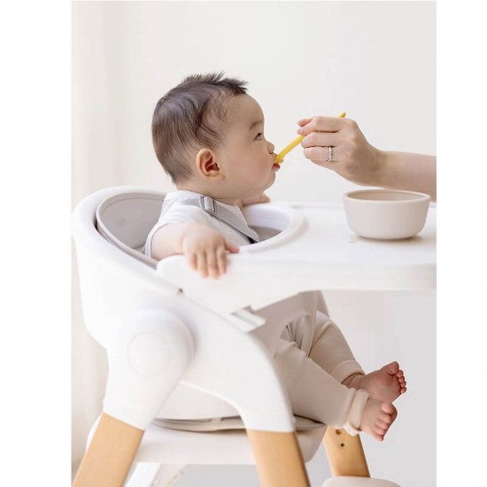 Duri Growth High Chair (6 Months to Adult, 110 Kg) 