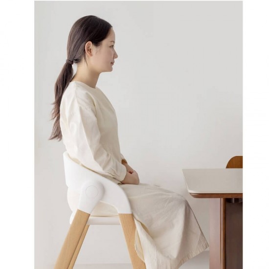 Duri Growth High Chair (6 Months to Adult, 110 Kg) 