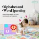 Dwinguler Double side Sensory Sound Playmat ( Large) - Farm House (PA-0002) with talking pen