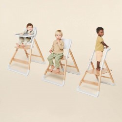 Ergobaby Evolve 3 in 1 High Chair