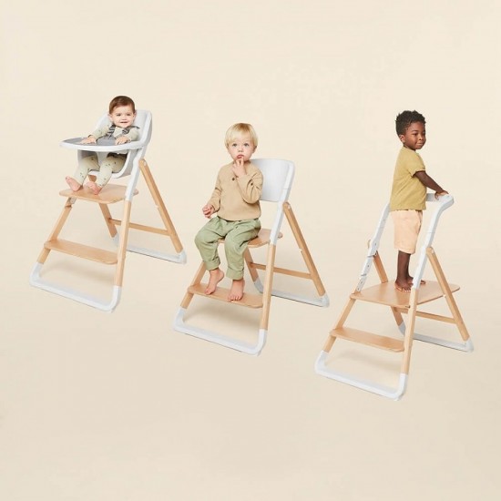 Ergobaby Evolve 3 in 1 High Chair