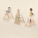 Ergobaby Evolve 3 in 1 High Chair