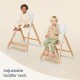 Ergobaby Evolve 3 in 1 High Chair