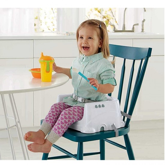 Fisher Price Healthy Care Deluxe Booster Seat (HGX39)