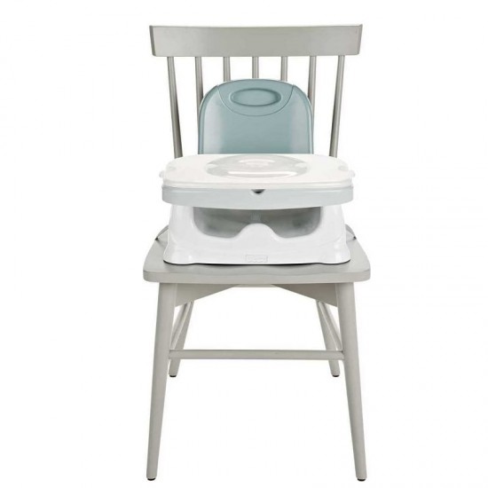 Fisher Price Healthy Care Deluxe Booster Seat (HGX39)