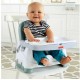 Fisher Price Healthy Care Deluxe Booster Seat (HGX39)