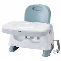 Fisher Price Healthy Care Deluxe Booster Seat (HGX39)