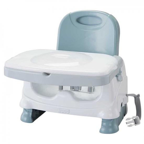 Fisher Price Healthy Care Deluxe Booster Seat (HGX39)