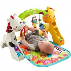 Fisher Price Newborn-to-Toddler Play Gym  CCB70