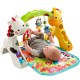 Fisher Price Newborn-to-Toddler Play Gym  CCB70