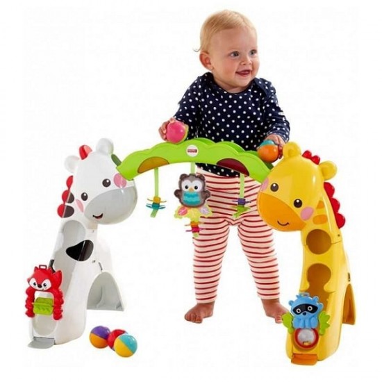 Fisher Price Newborn-to-Toddler Play Gym  CCB70