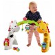 Fisher Price Newborn-to-Toddler Play Gym  CCB70