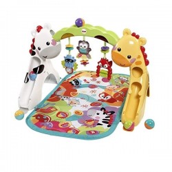 Fisher Price Newborn-to-Toddler Play Gym  CCB70