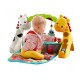 Fisher Price Newborn-to-Toddler Play Gym  CCB70